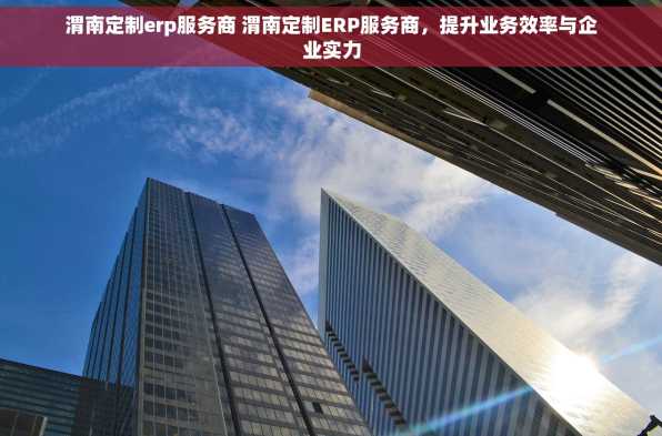 渭南定制erp服务商 渭南定制ERP服务商，提升业务效率与企业实力