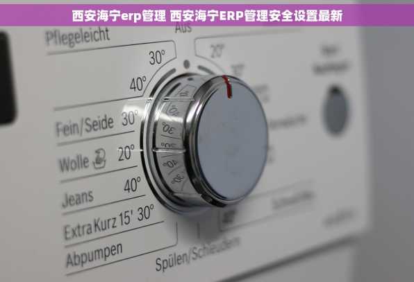 西安海宁erp管理 西安海宁ERP管理安全设置最新