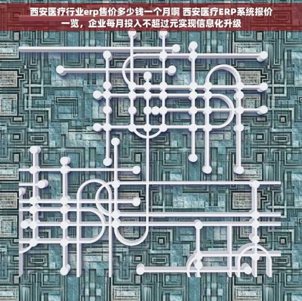 西安医疗行业erp售价多少钱一个月啊 西安医疗ERP系统报价一览，企业每月投入不超过元实现信息化升级