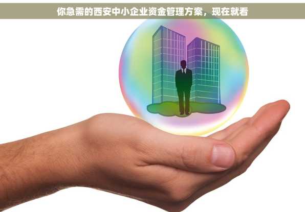 你急需的西安中小企业资金管理方案，现在就看