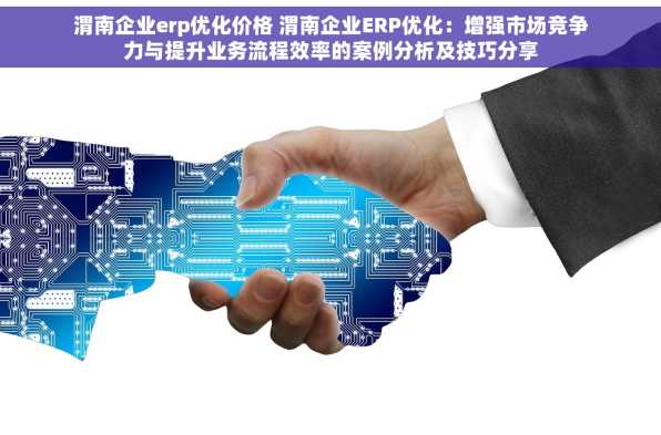 渭南企业erp优化价格 渭南企业ERP优化：增强市场竞争力与提升业务流程效率的案例分析及技巧分享