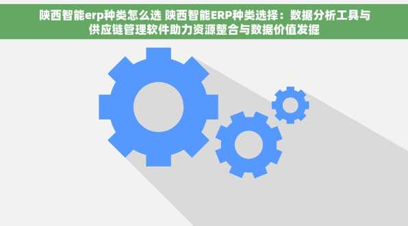 陕西智能erp种类怎么选 陕西智能ERP种类选择：数据分析工具与供应链管理软件助力资源整合与数据价值发掘