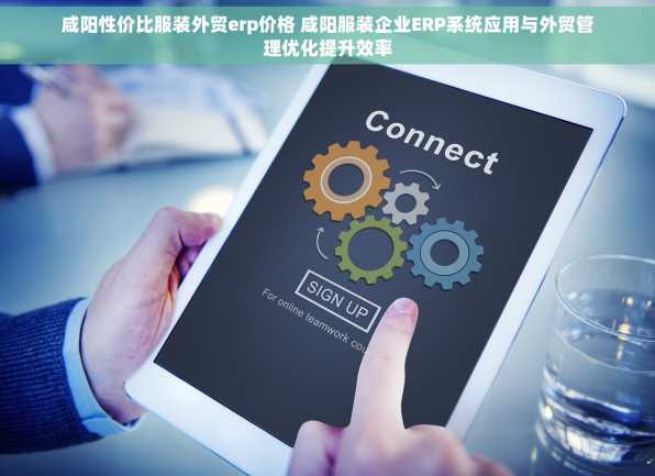 咸阳性价比服装外贸erp价格 咸阳服装企业ERP系统应用与外贸管理优化提升效率