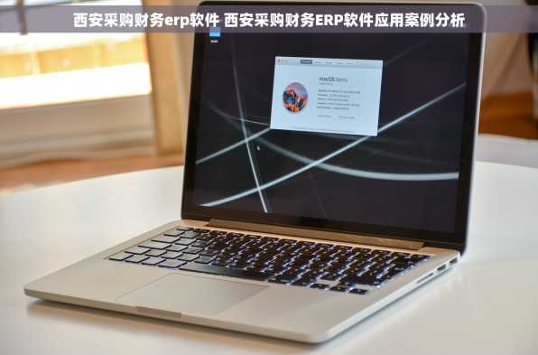 西安采购财务erp软件 西安采购财务ERP软件应用案例分析
