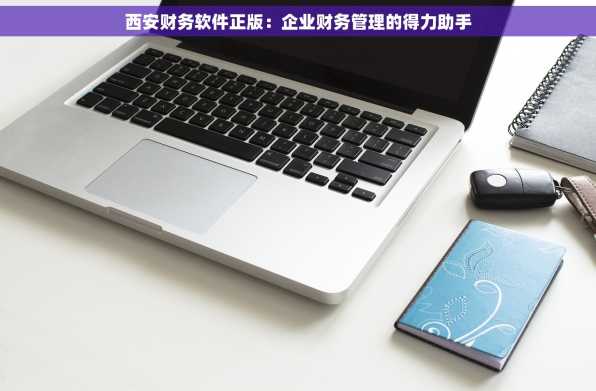 西安财务软件正版：企业财务管理的得力助手