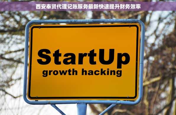 西安奉贤代理记账服务最新快速提升财务效率