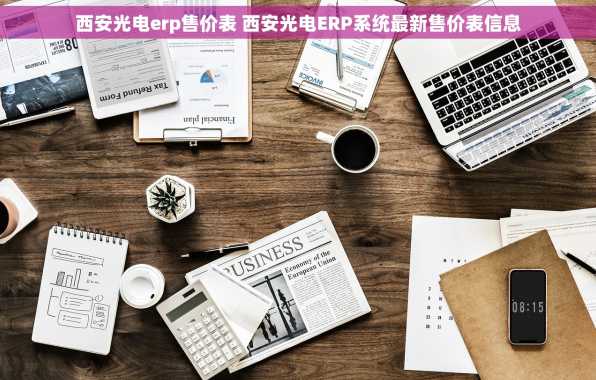 西安光电erp售价表 西安光电ERP系统最新售价表信息