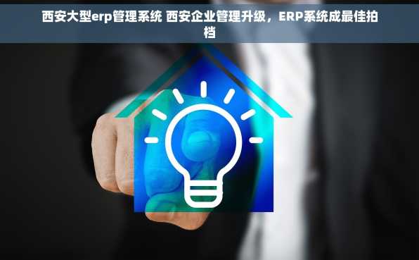 西安大型erp管理系统 西安企业管理升级，ERP系统成最佳拍档