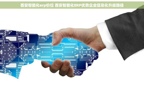 西安智能化erp价位 西安智能化ERP优势企业信息化升级路径