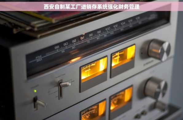西安自制某工厂进销存系统强化财务管理