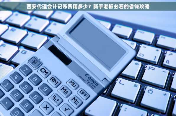 西安代理会计记账费用多少？新手老板必看的省钱攻略