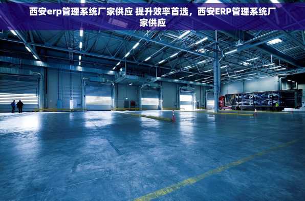 西安erp管理系统厂家供应 提升效率首选，西安ERP管理系统厂家供应