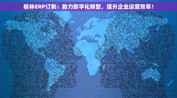榆林ERP订制：助力数字化转型，提升企业运营效率！