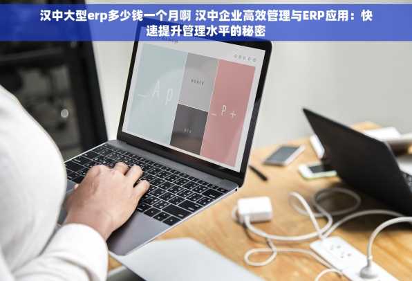 汉中大型erp多少钱一个月啊 汉中企业高效管理与ERP应用：快速提升管理水平的秘密
