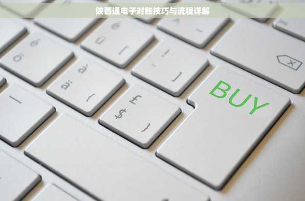 陕西通电子对账技巧与流程详解