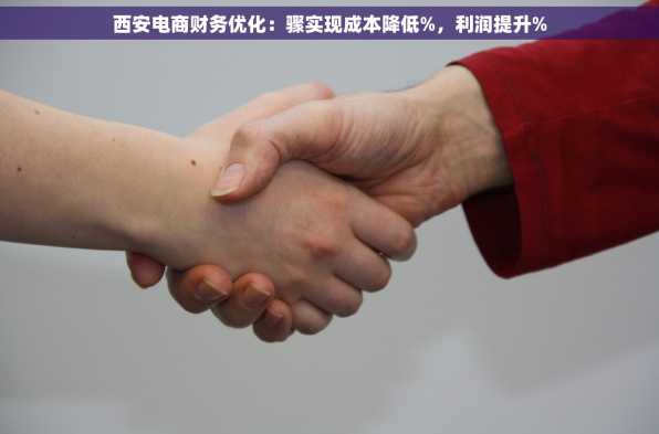西安电商财务优化：骤实现成本降低%，利润提升%
