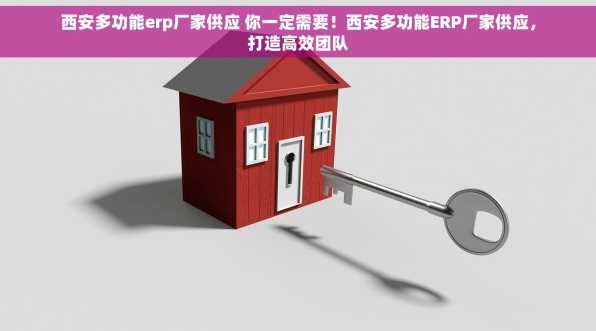 西安多功能erp厂家供应 你一定需要！西安多功能ERP厂家供应，打造高效团队