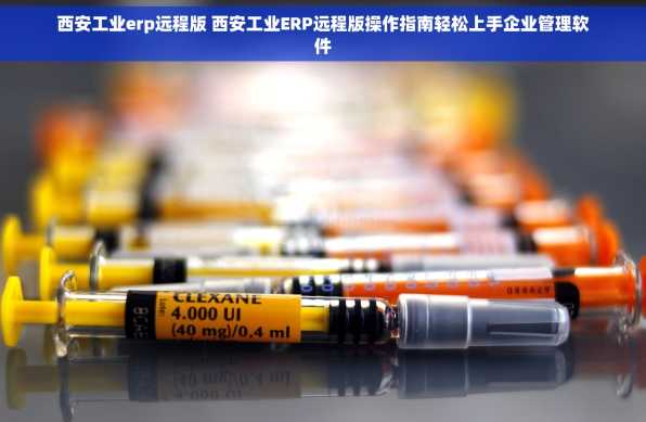西安工业erp远程版 西安工业ERP远程版操作指南轻松上手企业管理软件