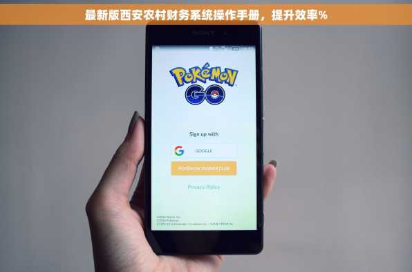 最新版西安农村财务系统操作手册，提升效率%