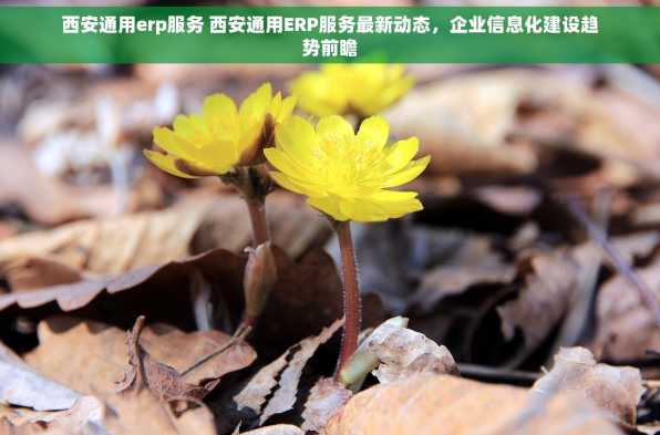 西安通用erp服务 西安通用ERP服务最新动态，企业信息化建设趋势前瞻