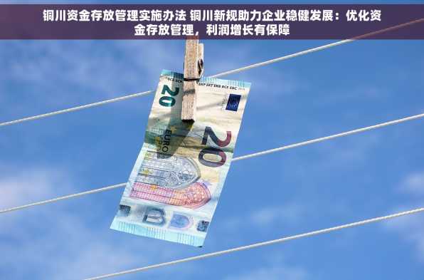 铜川资金存放管理实施办法 铜川新规助力企业稳健发展：优化资金存放管理，利润增长有保障