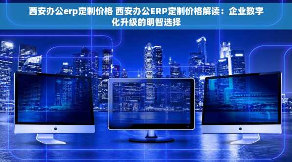 西安办公erp定制价格 西安办公ERP定制价格解读：企业数字化升级的明智选择