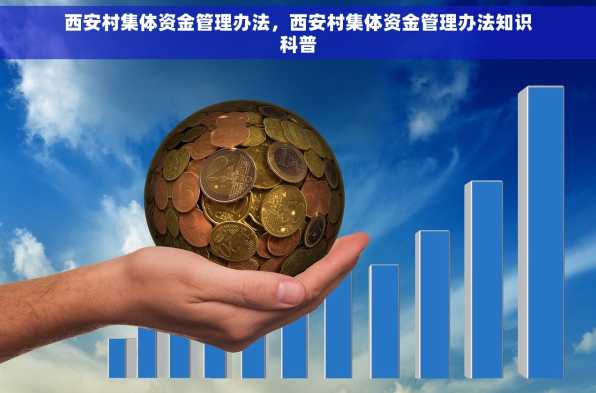 西安村集体资金管理办法，西安村集体资金管理办法知识科普