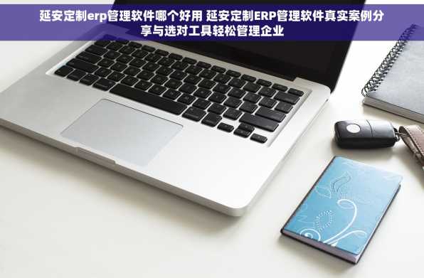 延安定制erp管理软件哪个好用 延安定制ERP管理软件真实案例分享与选对工具轻松管理企业