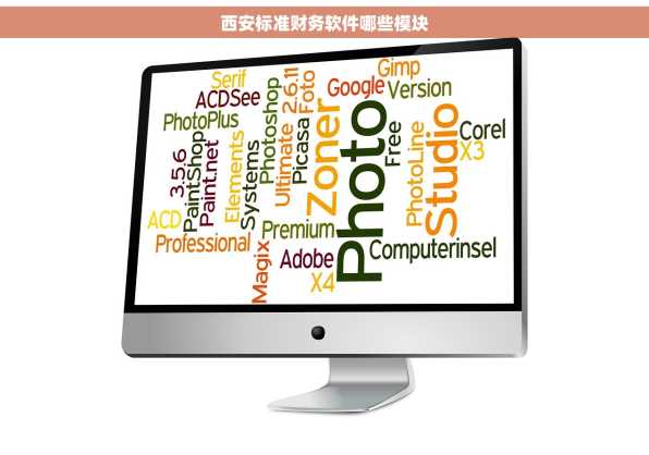 西安标准财务软件哪些模块
