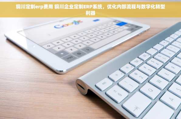 铜川定制erp费用 铜川企业定制ERP系统，优化内部流程与数字化转型利器