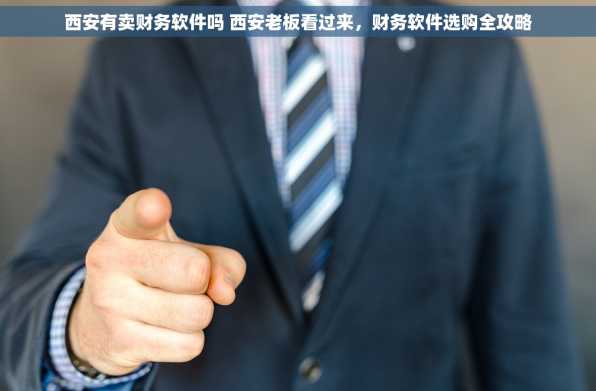 西安有卖财务软件吗 西安老板看过来，财务软件选购全攻略