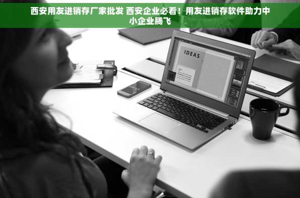 西安用友进销存厂家批发 西安企业必看！用友进销存软件助力中小企业腾飞