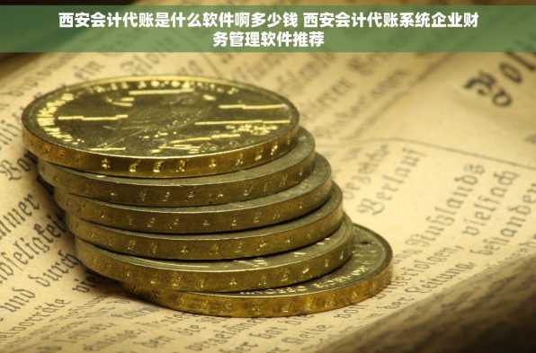 西安会计代账是什么软件啊多少钱 西安会计代账系统企业财务管理软件推荐
