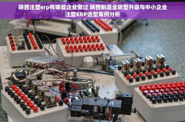 陕西注塑erp有哪些企业做过 陕西制造业转型升级与中小企业注塑ERP选型案例分析