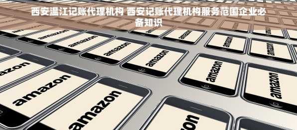 西安温江记账代理机构 西安记账代理机构服务范围企业必备知识