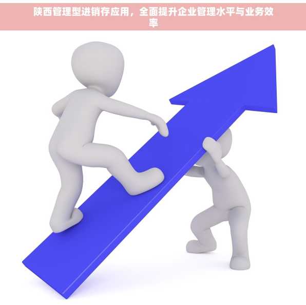 陕西管理型进销存应用，全面提升企业管理水平与业务效率