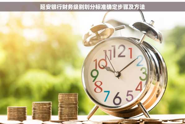 延安银行财务级别划分标准确定步骤及方法