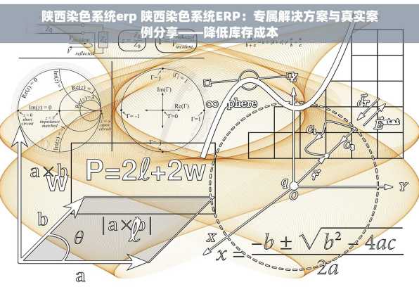 陕西染色系统erp 陕西染色系统ERP：专属解决方案与真实案例分享——降低库存成本