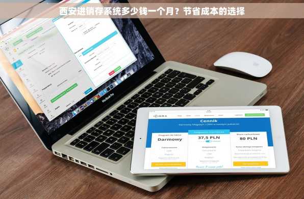 西安进销存系统多少钱一个月？节省成本的选择
