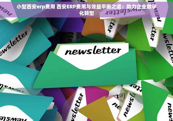 小型西安erp费用 西安ERP费用与效益平衡之道：助力企业数字化转型