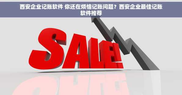 西安企业记账软件 你还在烦恼记账问题？西安企业最佳记账软件推荐