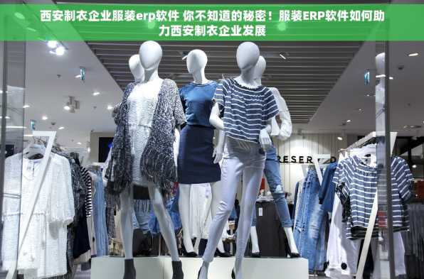 西安制衣企业服装erp软件 你不知道的秘密！服装ERP软件如何助力西安制衣企业发展