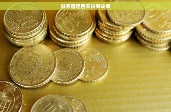 财务管理西安投资决策