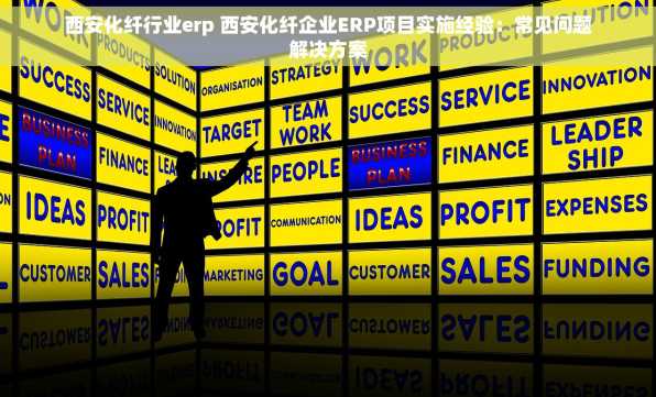 西安化纤行业erp 西安化纤企业ERP项目实施经验：常见问题解决方案