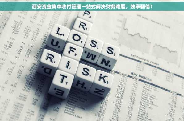 西安资金集中收付管理一站式解决财务难题，效率翻倍！