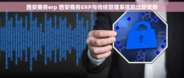 西安商务erp 西安商务ERP与传统管理系统的比较优势