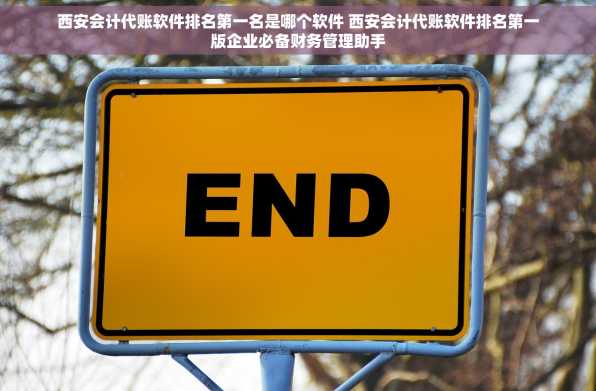 西安会计代账软件排名第一名是哪个软件 西安会计代账软件排名第一版企业必备财务管理助手