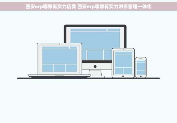 西安erp哪家有实力店卖 西安erp哪家有实力财务管理一体化