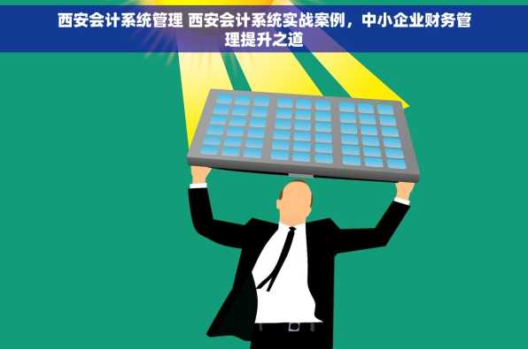 西安会计系统管理 西安会计系统实战案例，中小企业财务管理提升之道