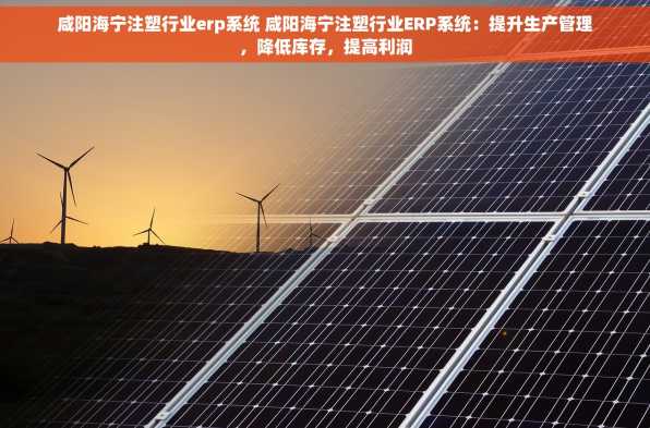 咸阳海宁注塑行业erp系统 咸阳海宁注塑行业ERP系统：提升生产管理，降低库存，提高利润